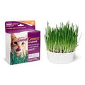 Cat Grass Kit K5367