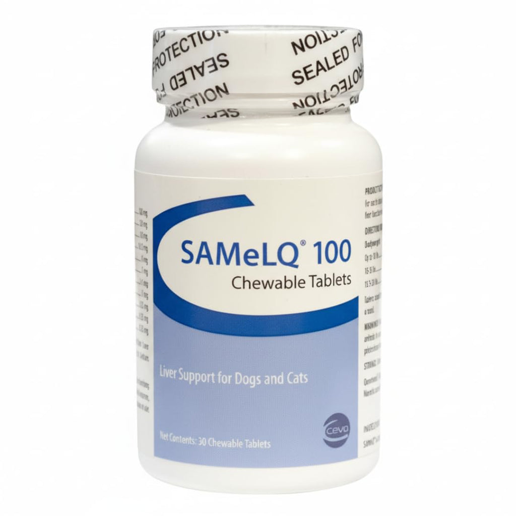 100mg Liver Support Chewable Tablets L613265
