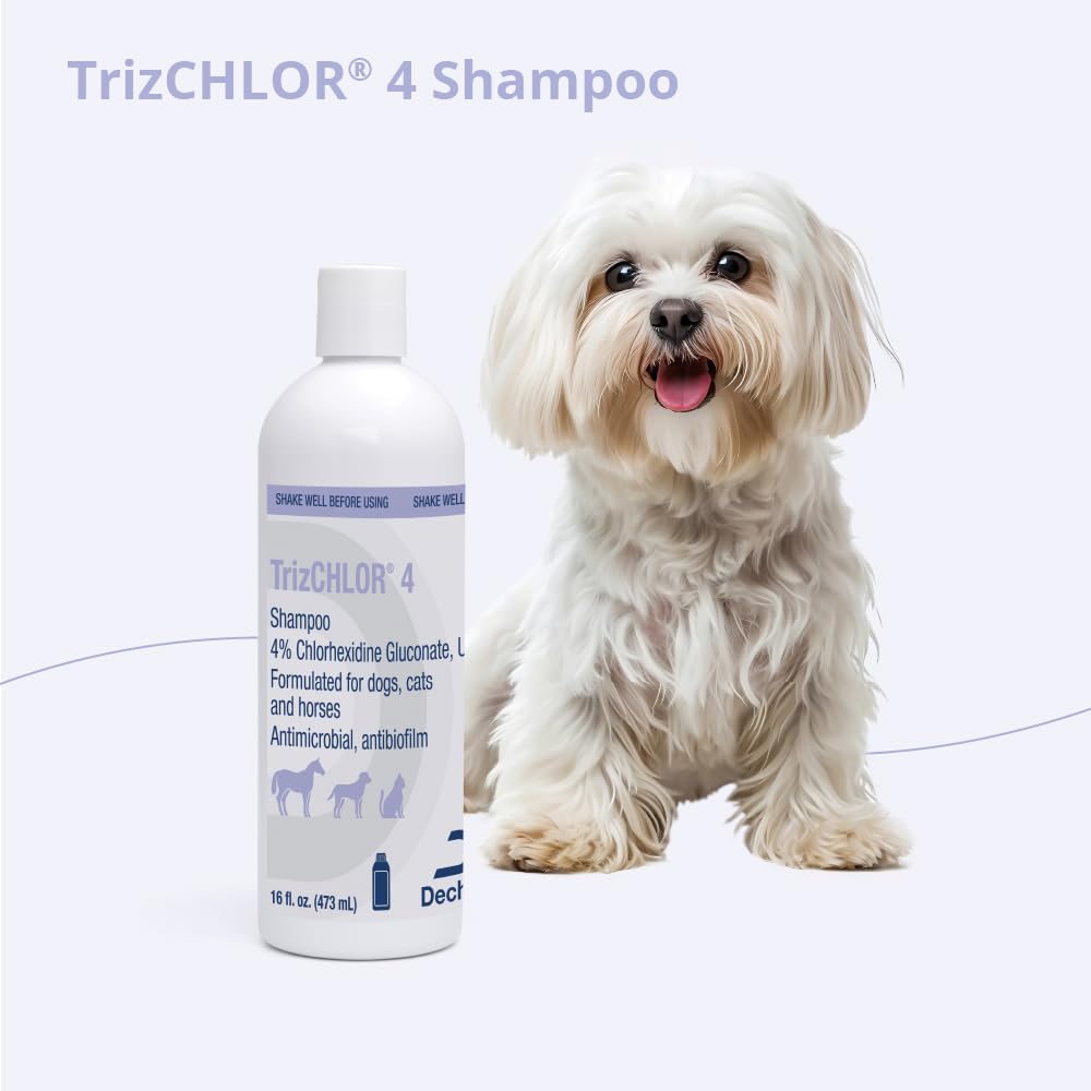 Shampoo for Dogs, Cats and Horses, 16 Ounce K1812
