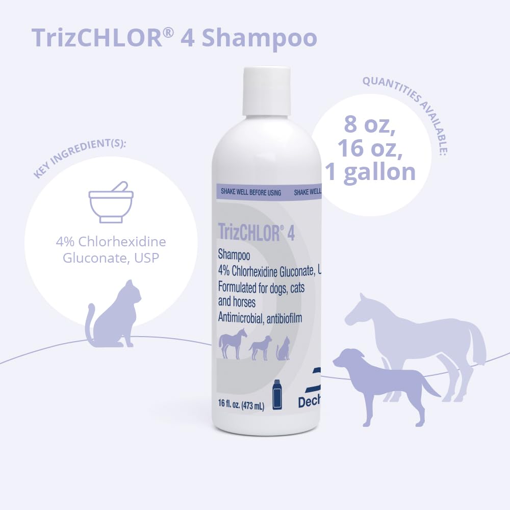 Shampoo for Dogs, Cats and Horses, 16 Ounce K1812