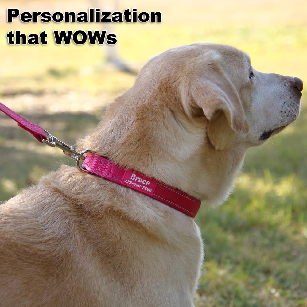 Personalized Dog Collars for Small Medium Dogs I9442