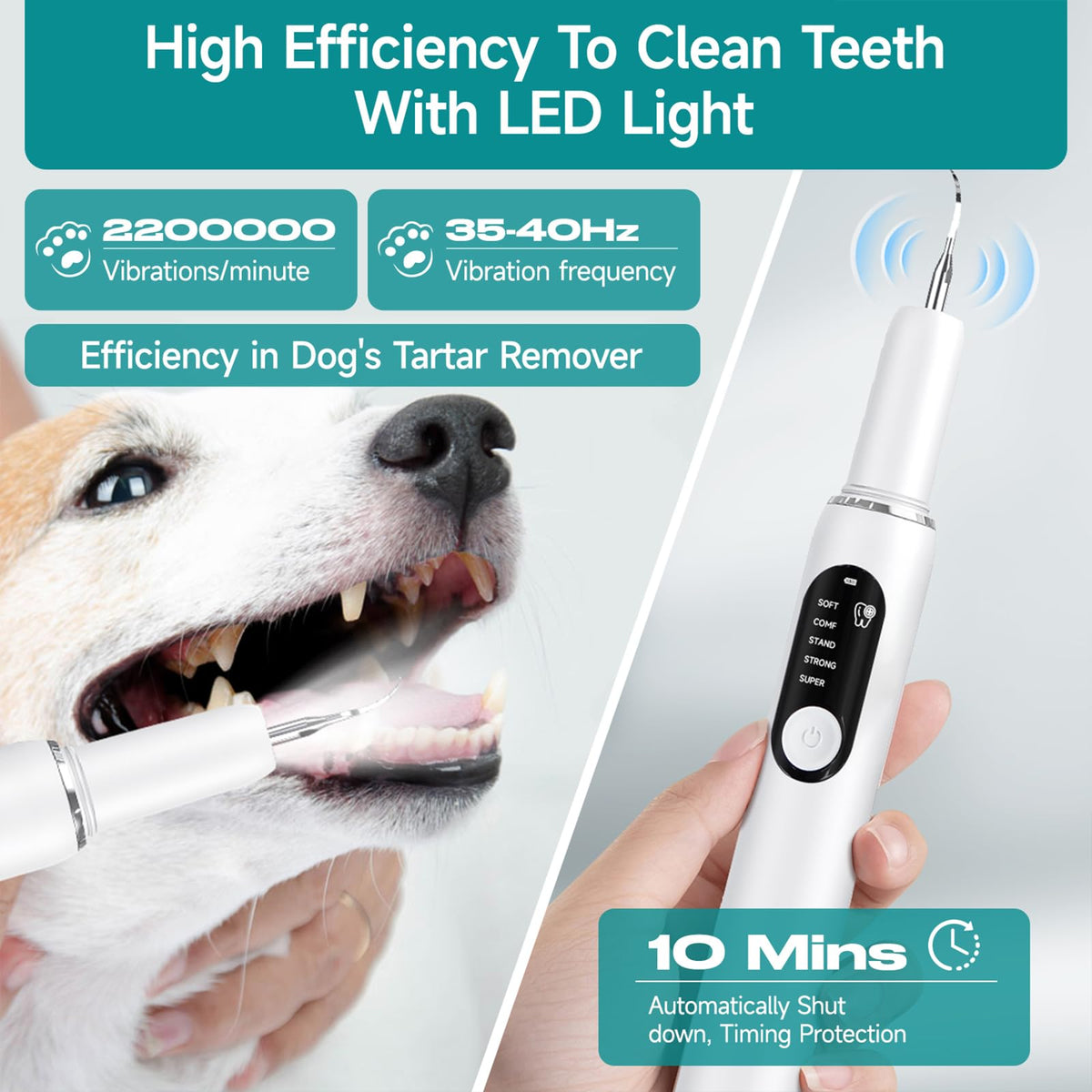 White Dog Teeth Cleaning Kit with LED Light D569376