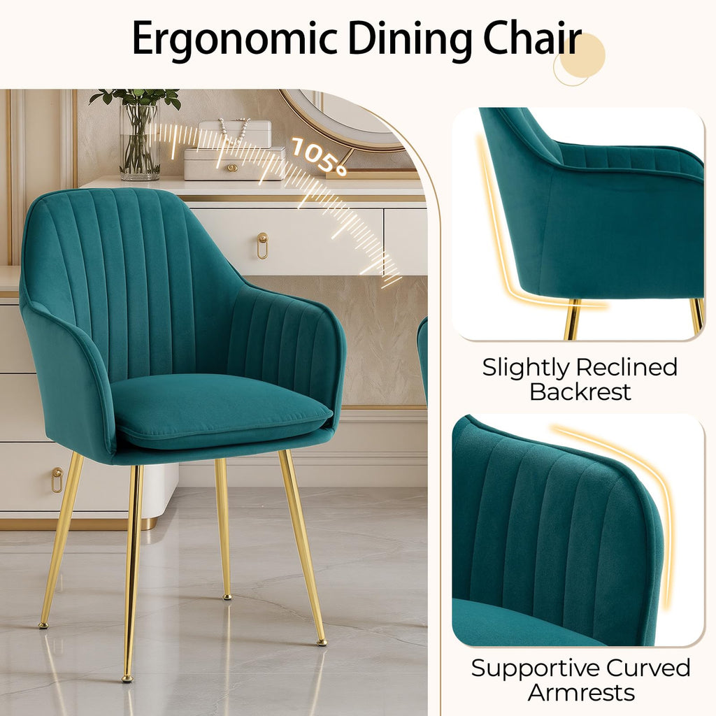 Velvet Accent Arm Chairs Set of 2 with Golden Legs I509153