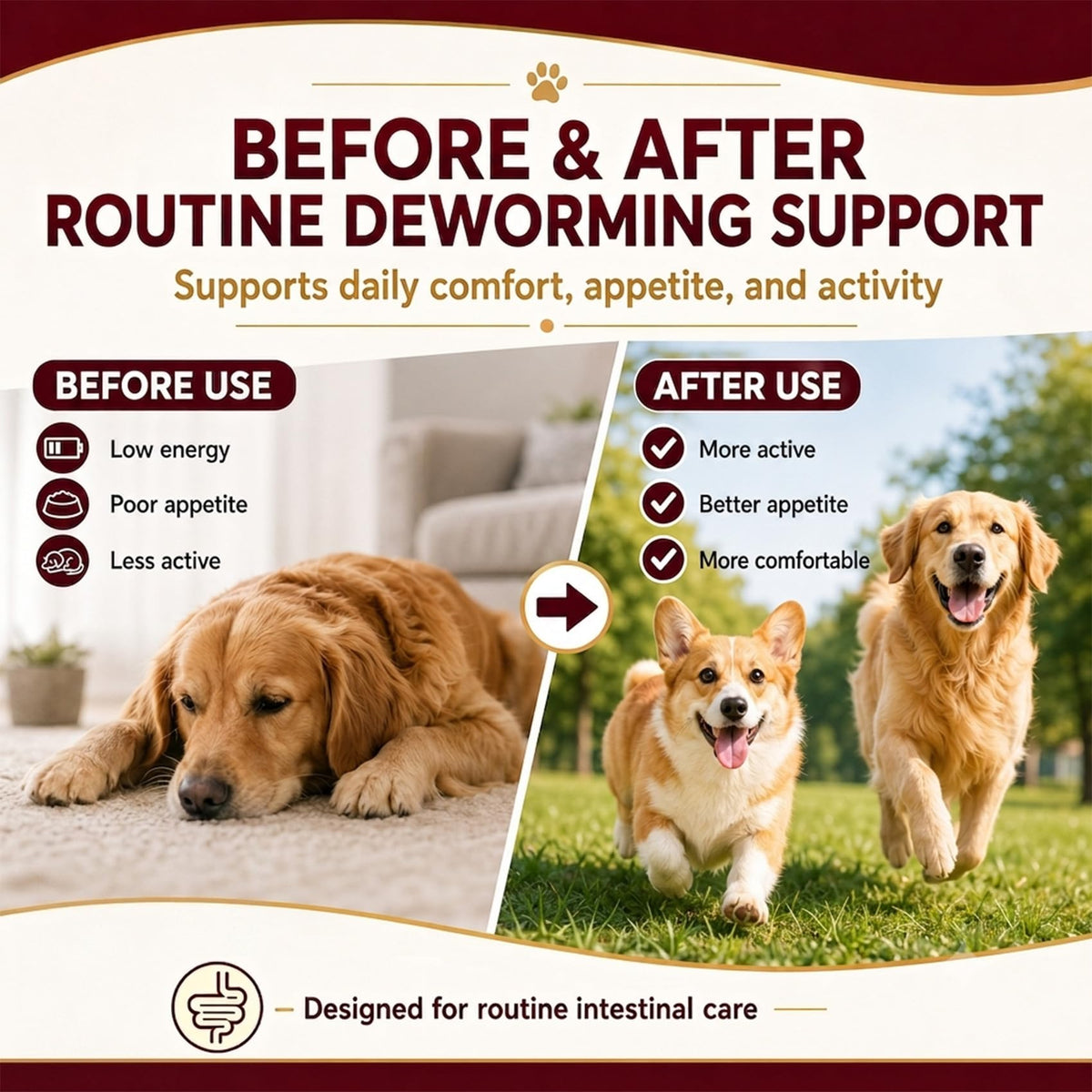 Dog & Puppies Dewormer Tablets W713915