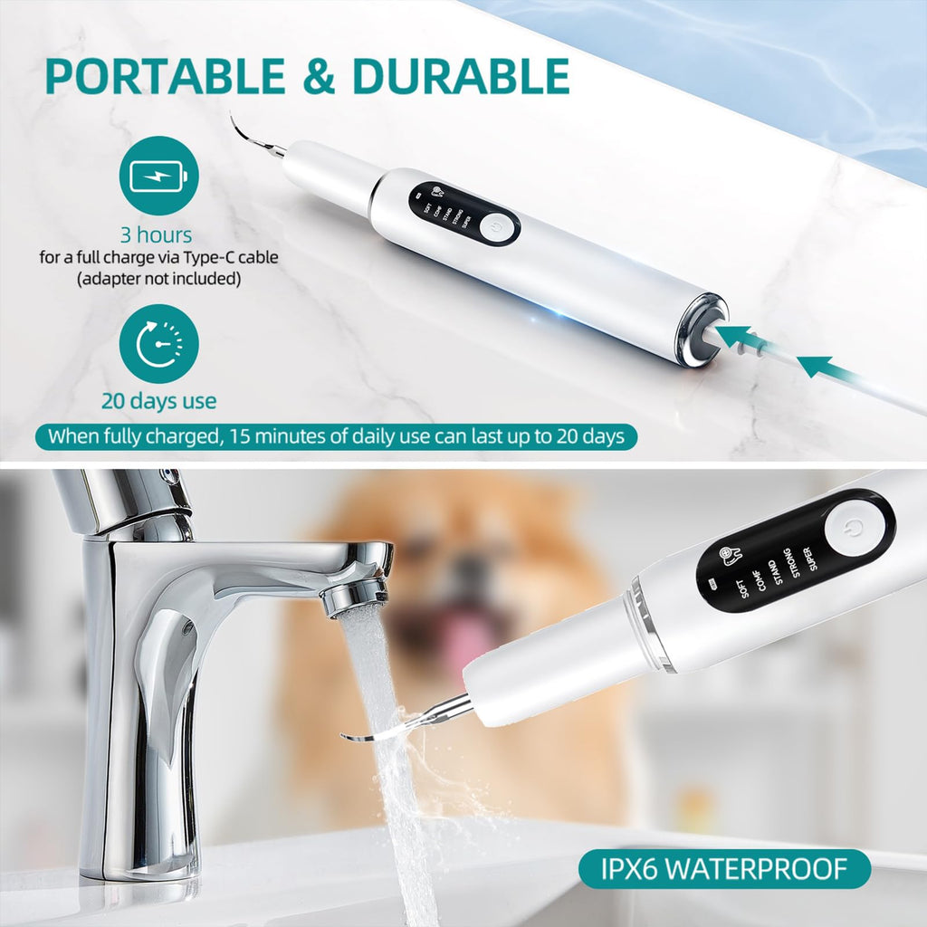White Dog Teeth Cleaning Kit with LED Light D569376