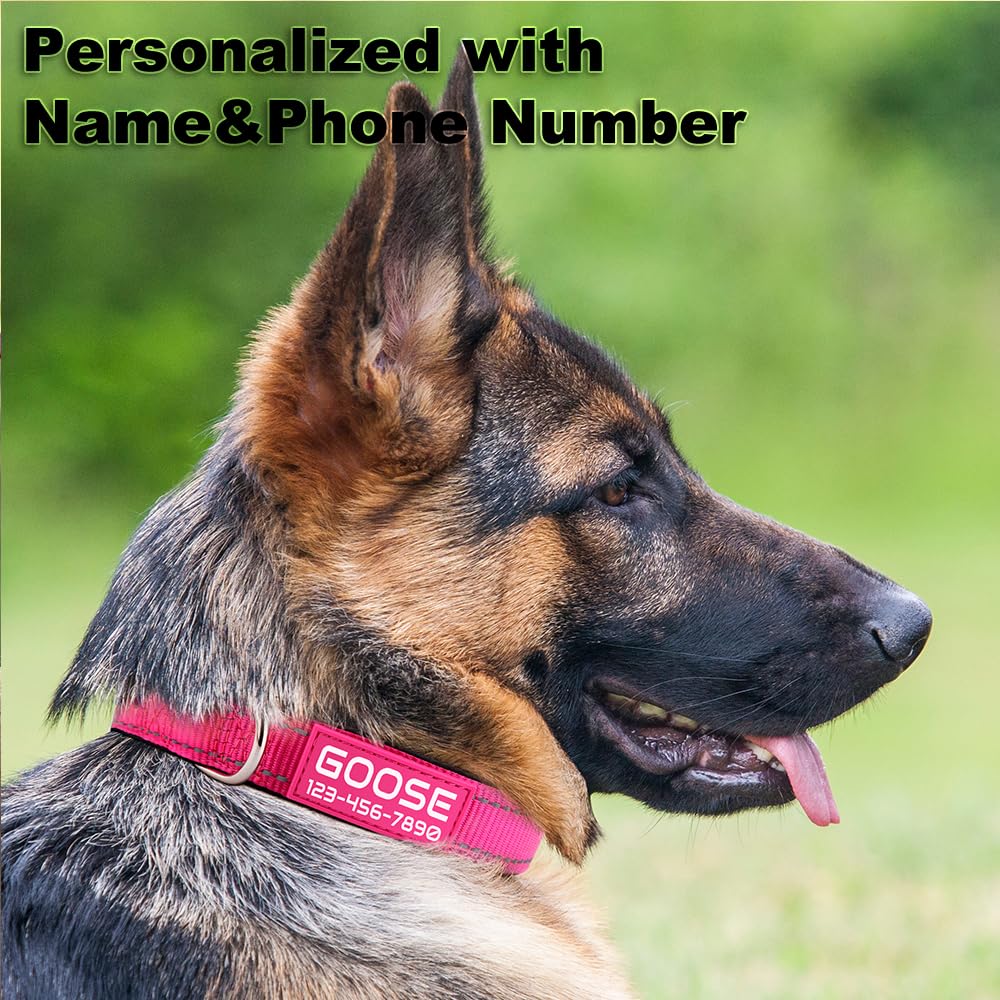 Personalized Dog Collars for Small Medium Dogs I9442