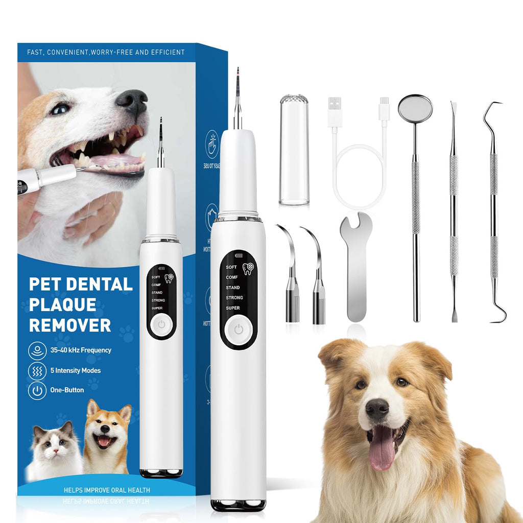White Dog Teeth Cleaning Kit with LED Light D569376