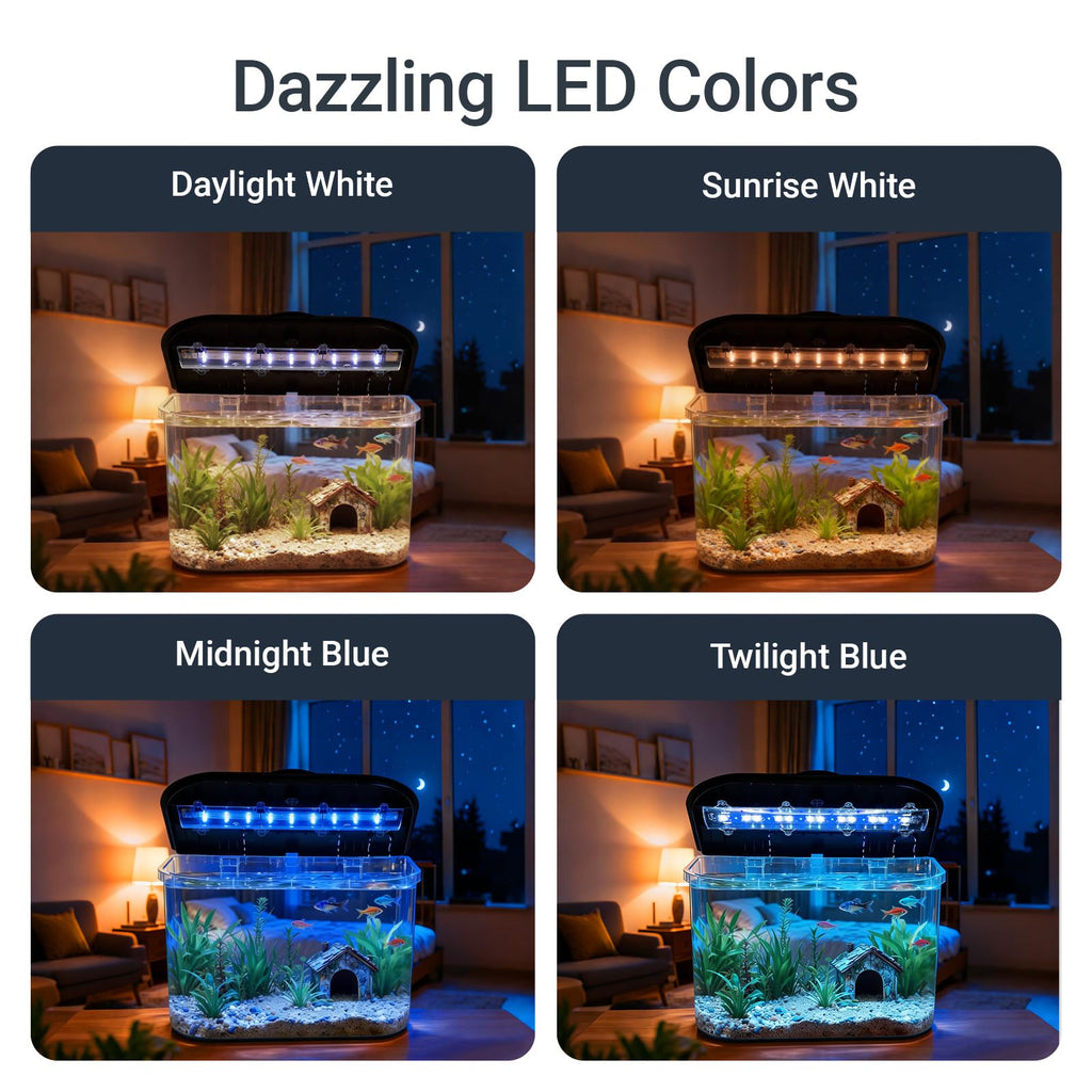 5-Gallon Aquarium Kit with LED Lighting and Power Filter Q190672