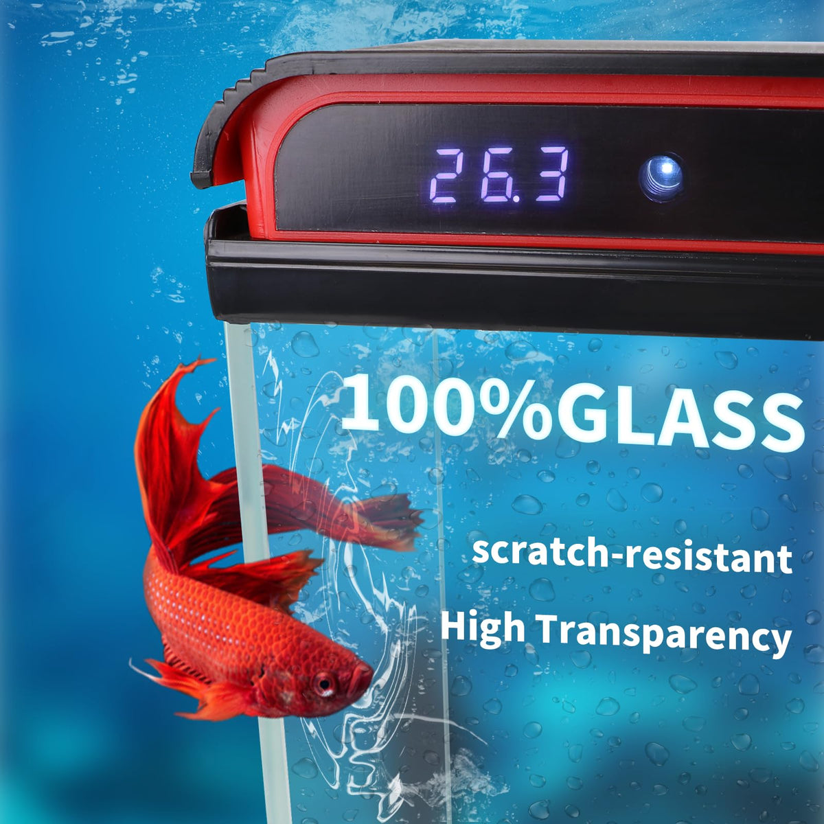 10 Gallon Glass Aquarium Starter Kit with LED Lights and Filter L88897