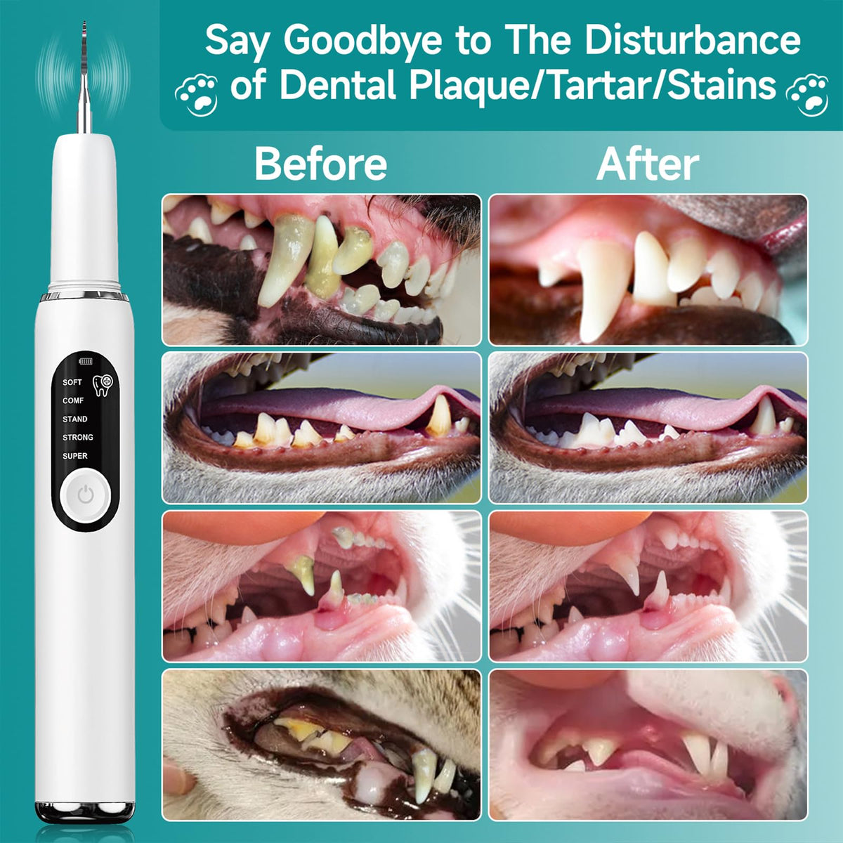 White Dog Teeth Cleaning Kit with LED Light D569376