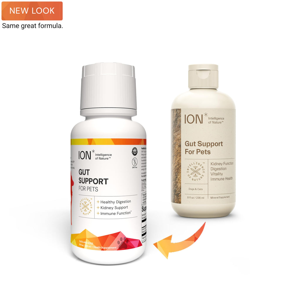 Gut Support for Pets 8 Fl Oz T181