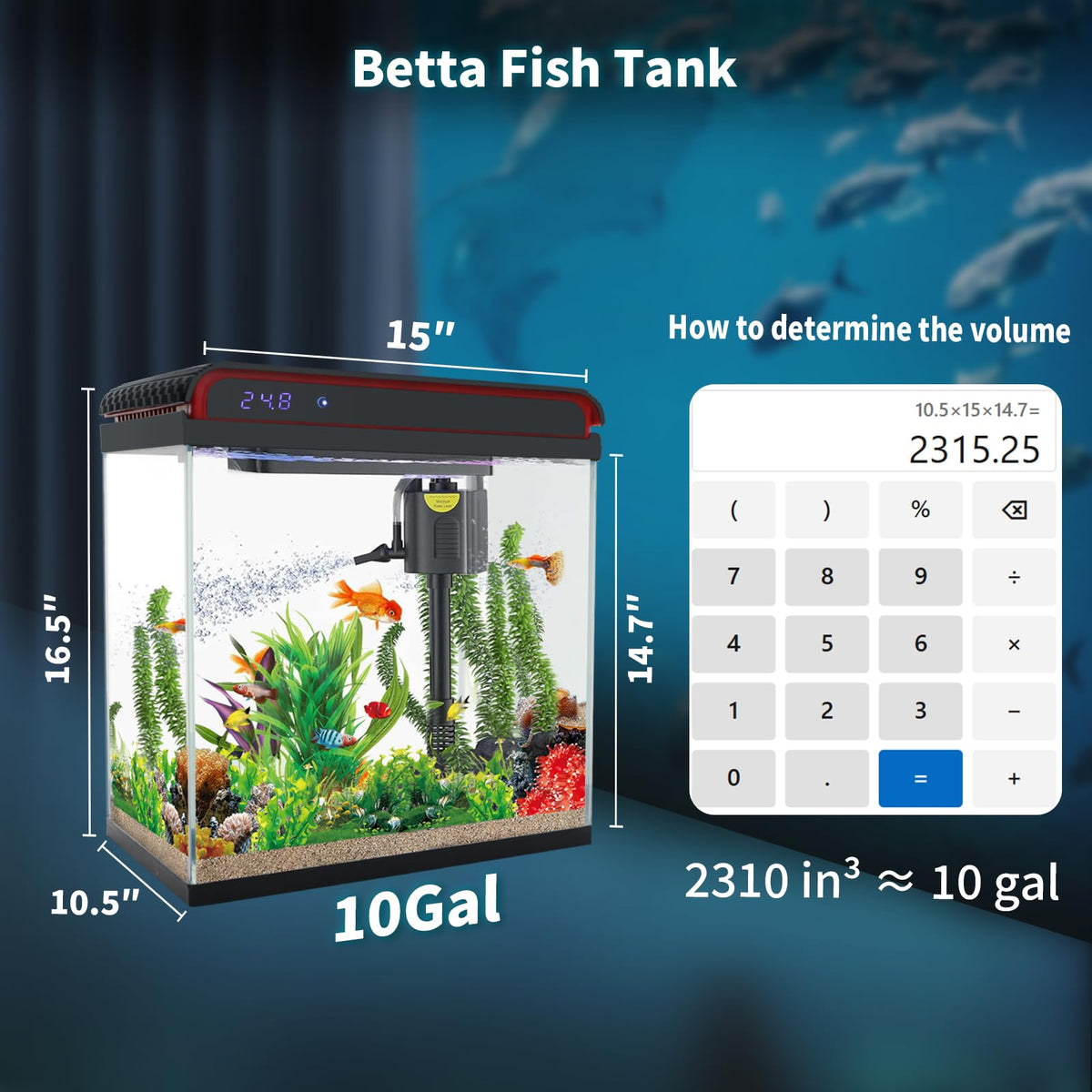 10 Gallon Glass Aquarium Starter Kit with LED Lights and Filter L88897