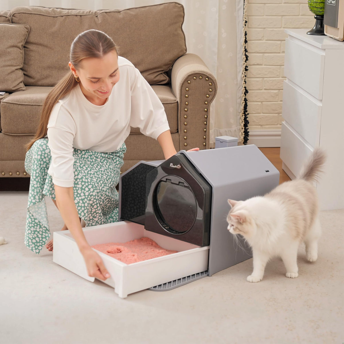 Hooded Cat Litter Box with Litter Mat, Pull-Out Drawer, Handle, Scoop, Gray G8959