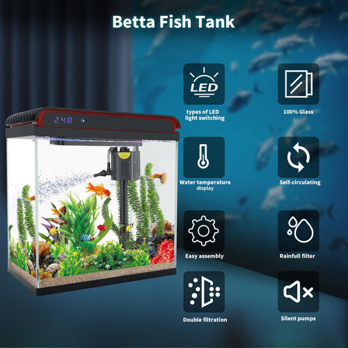 10 Gallon Glass Aquarium Starter Kit with LED Lights and Filter L88897