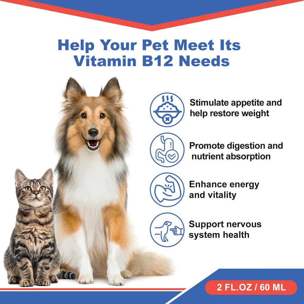 Vitamin B12 Liquid Supplement 60 ml L2100