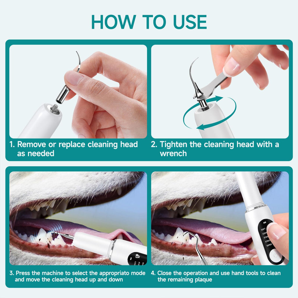 White Dog Teeth Cleaning Kit with LED Light D569376