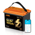 12V 100Ah LiFePO4 Lithium Battery with Bluetooth Monitoring & Low-Temp Protection D822