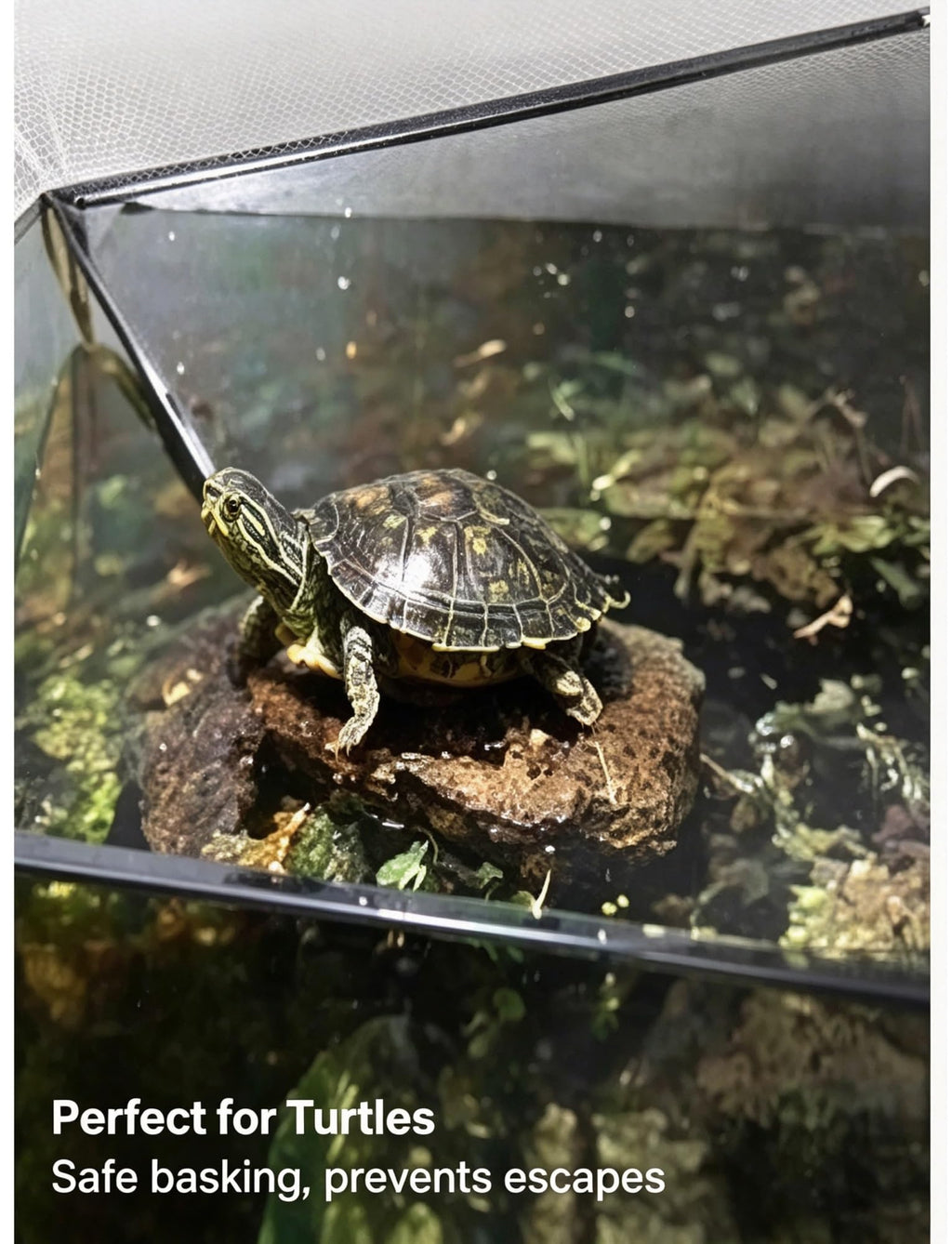 Aluminum Fish Tank Mesh Lid Q2585