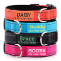 Personalized Dog Collars for Small Medium Dogs I9442
