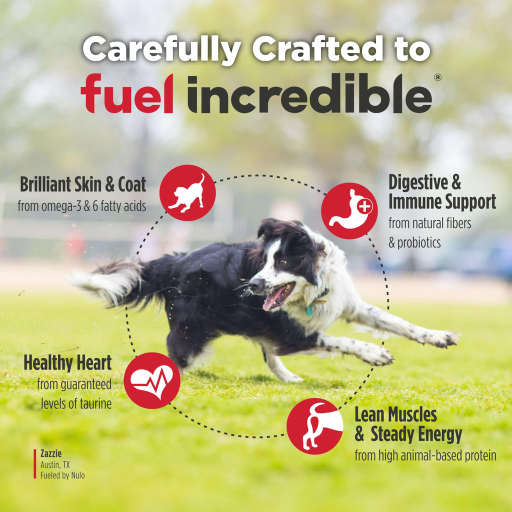 High Protein Grain Free Dry Dog Food L3839