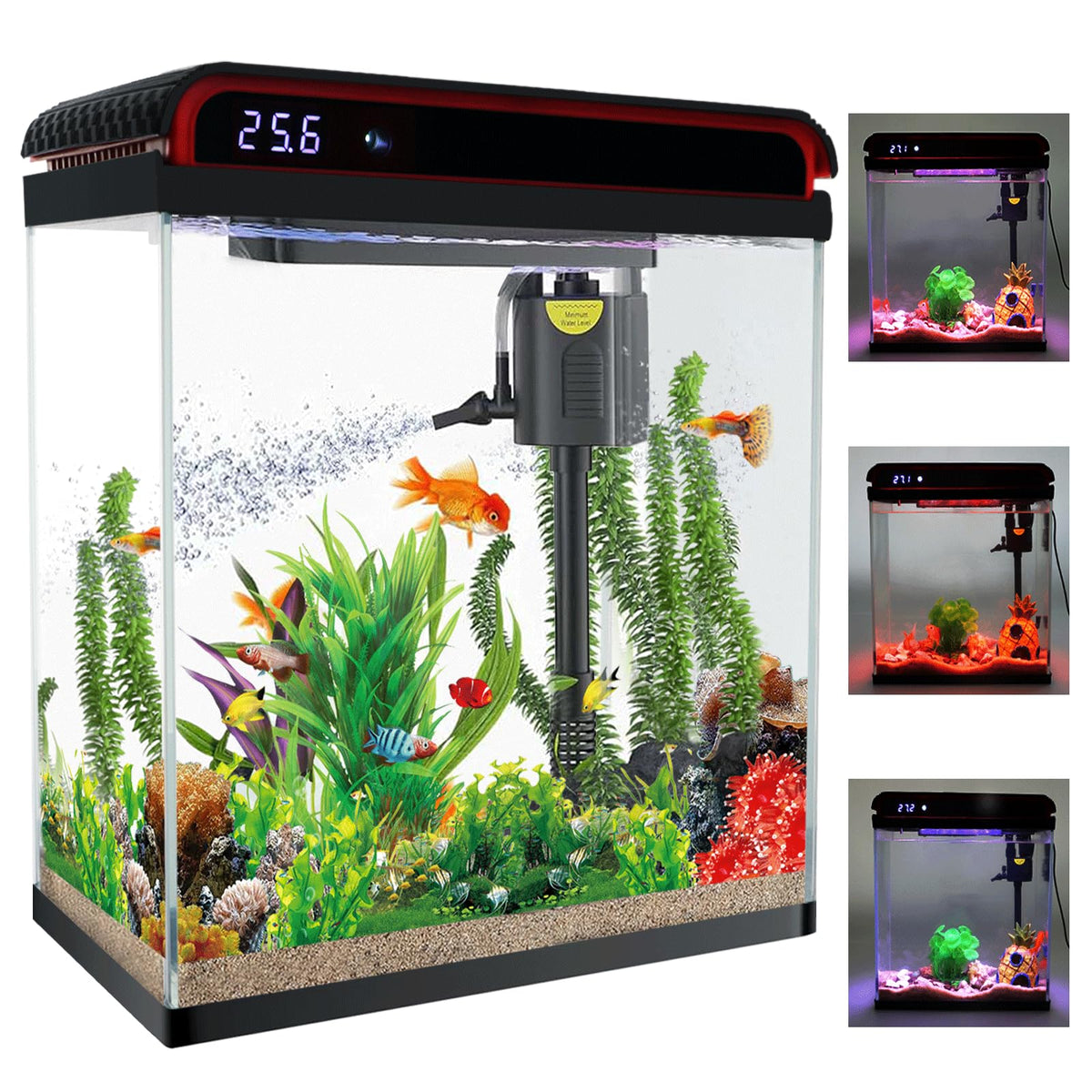 10 Gallon Glass Aquarium Starter Kit with LED Lights and Filter L88897