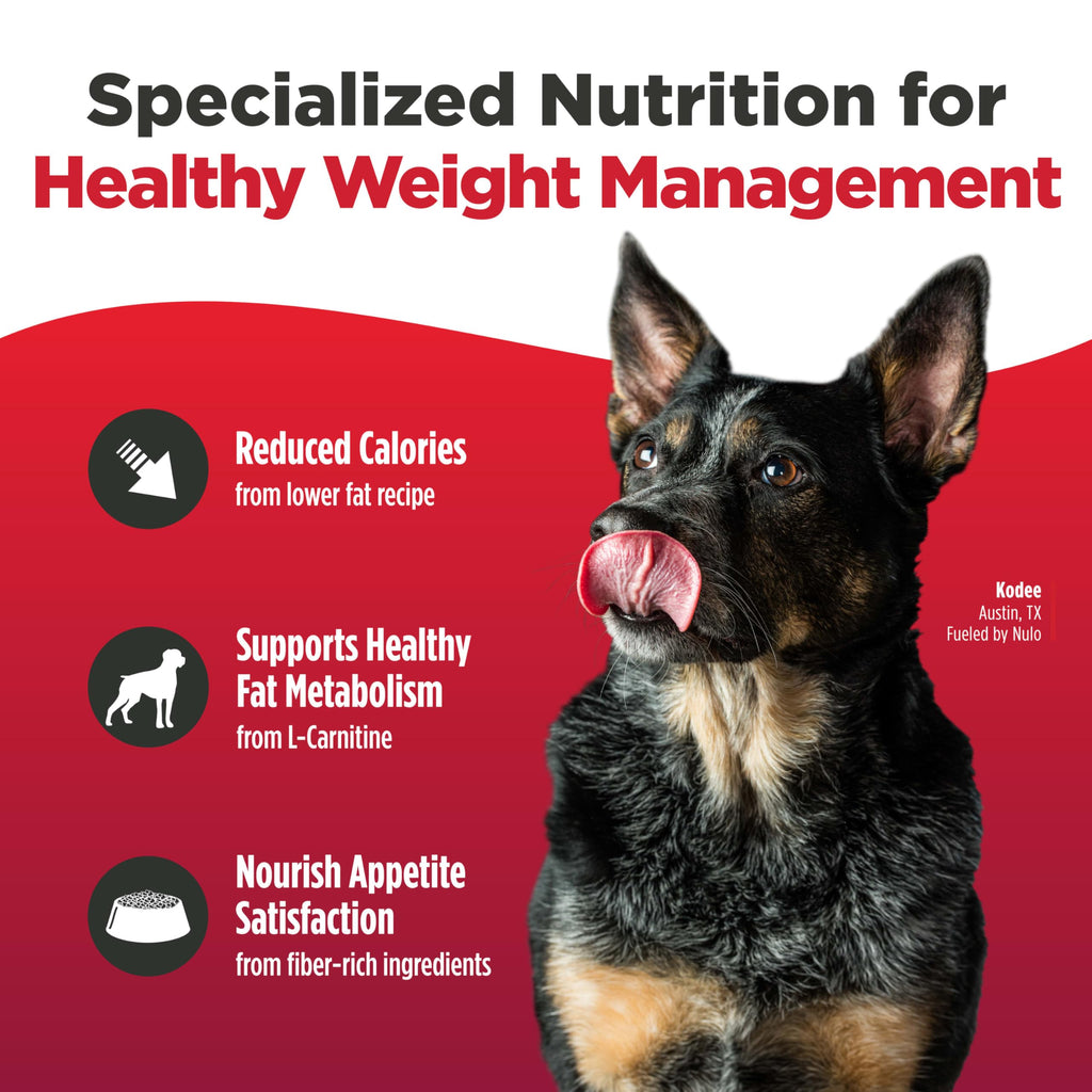 High Protein Grain Free Dry Dog Food L3839