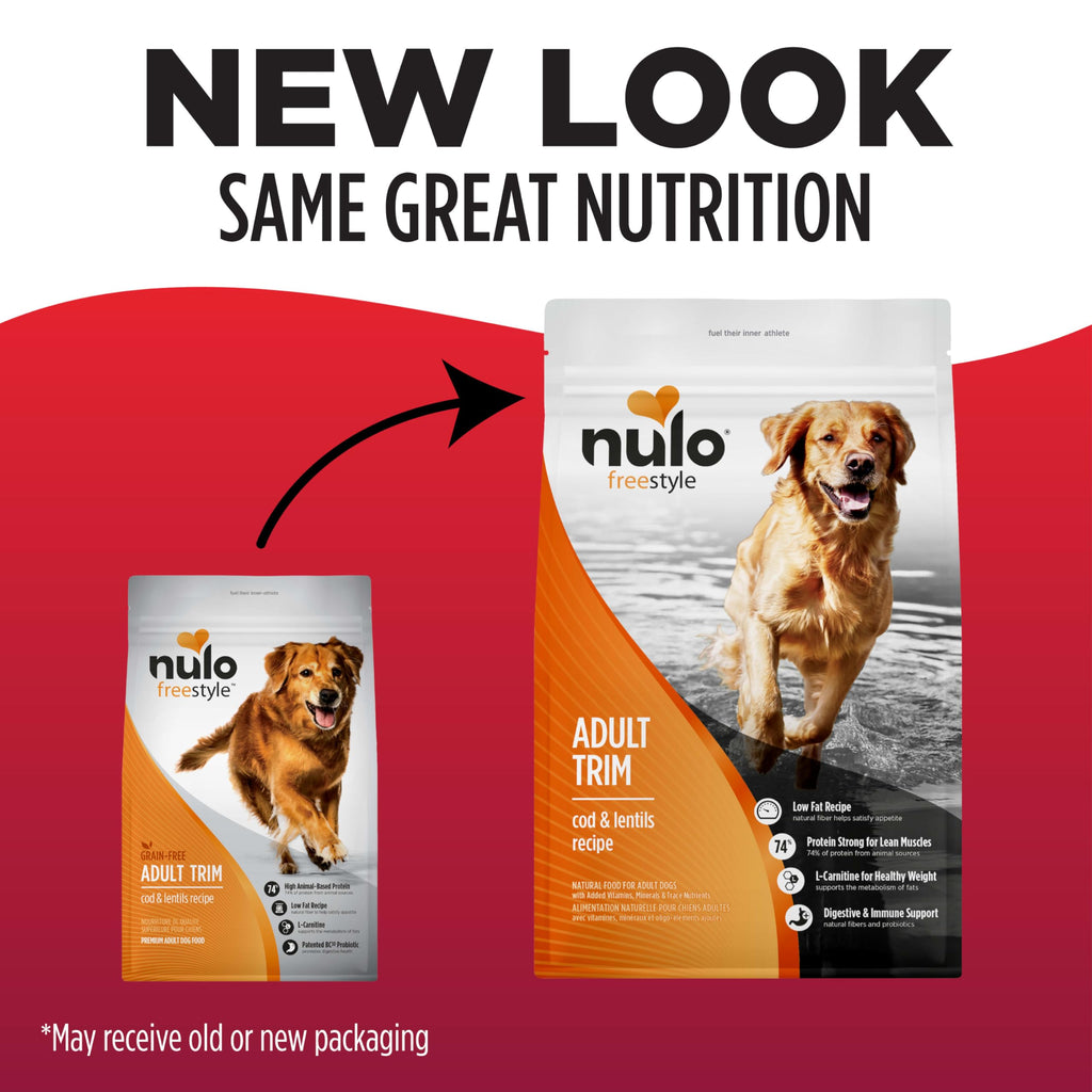 High Protein Grain Free Dry Dog Food L3839