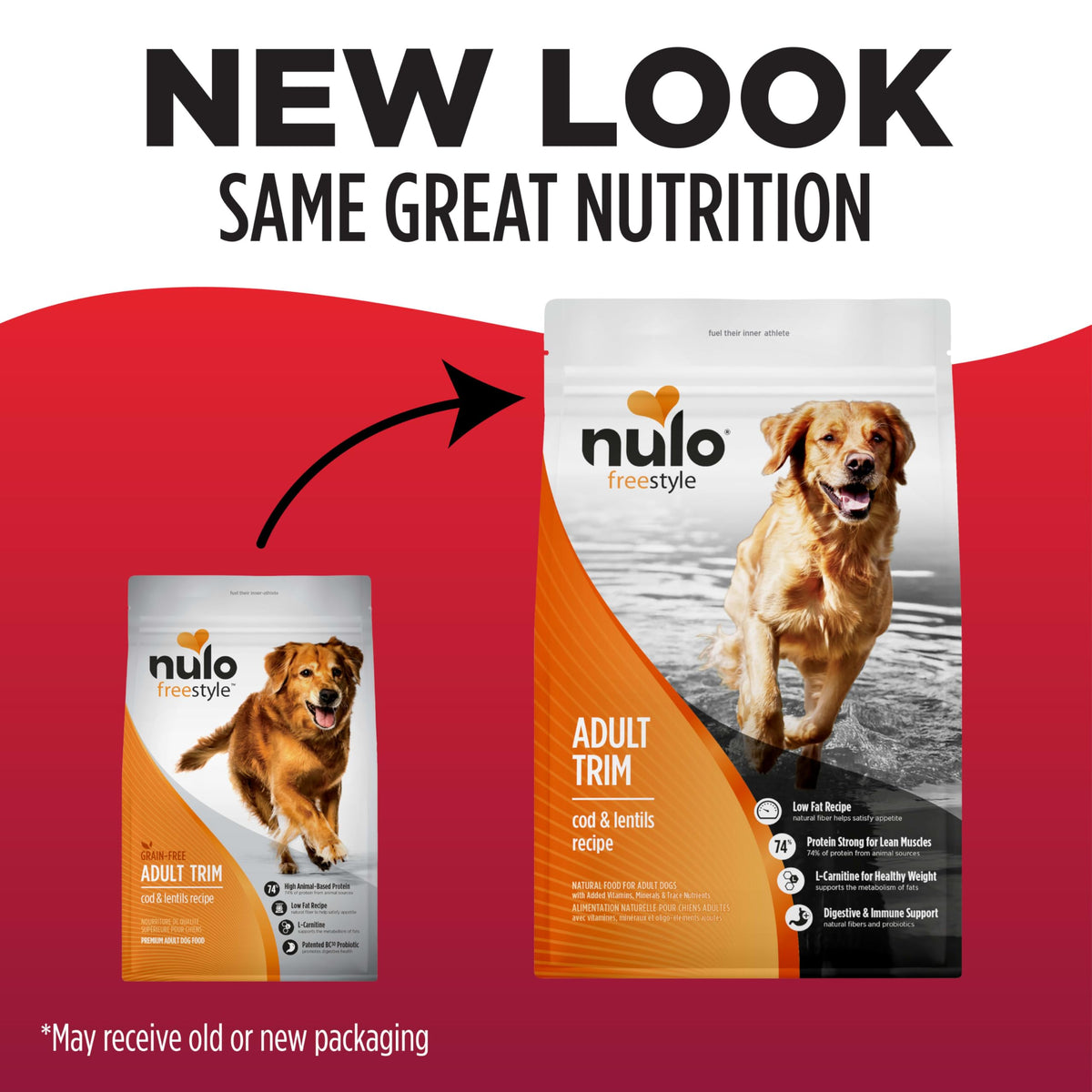 High Protein Grain Free Dry Dog Food L3839