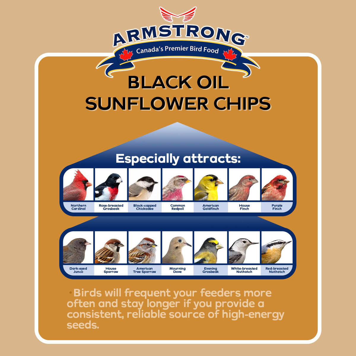 Black Oil Sunflower Chips Bird Food 20 Pounds Q8827