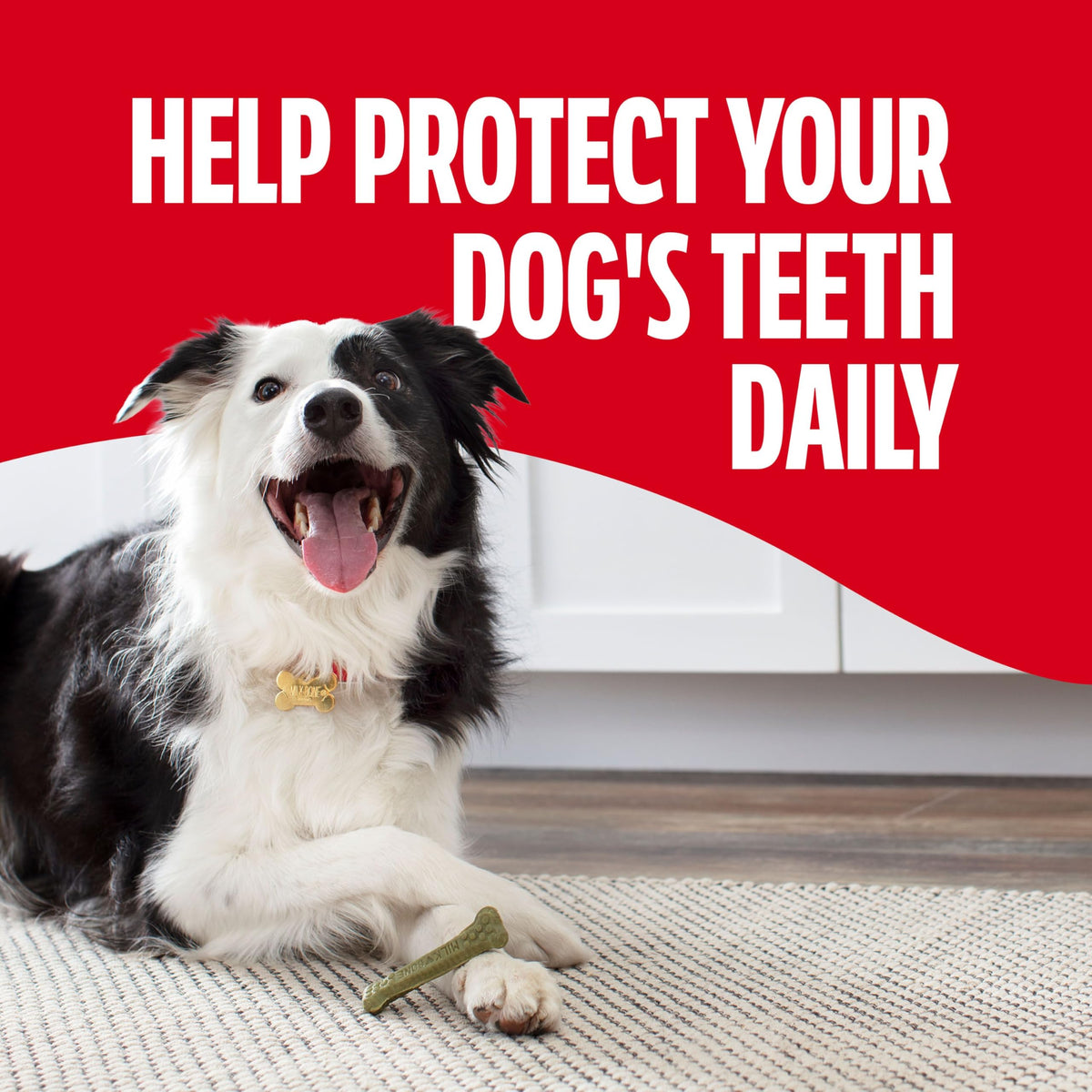 Small/Medium Fresh Flavor Dental Treats B636