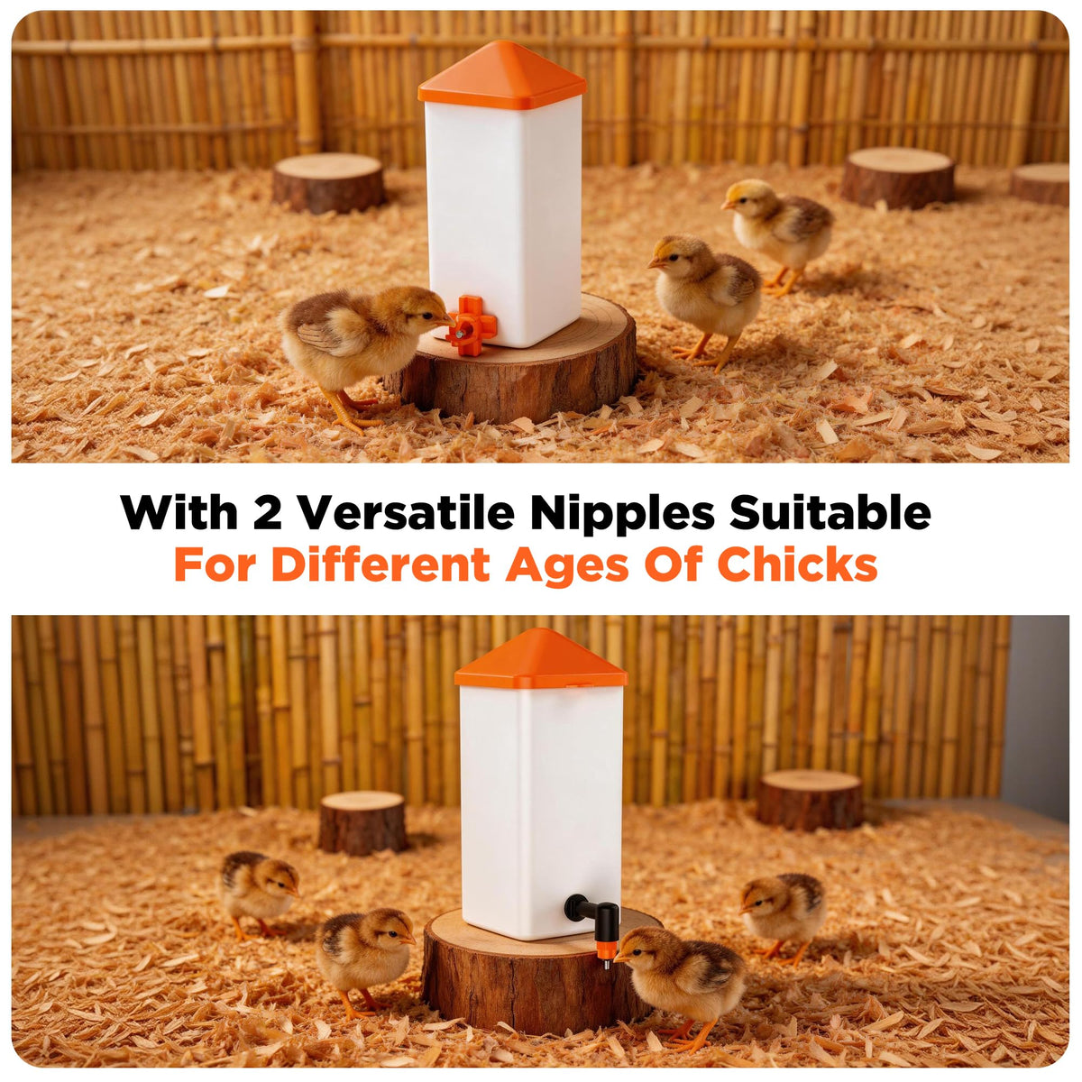 1L Baby Chick Waterer with Nipple Drinker and Anti-Roost Cone C21970