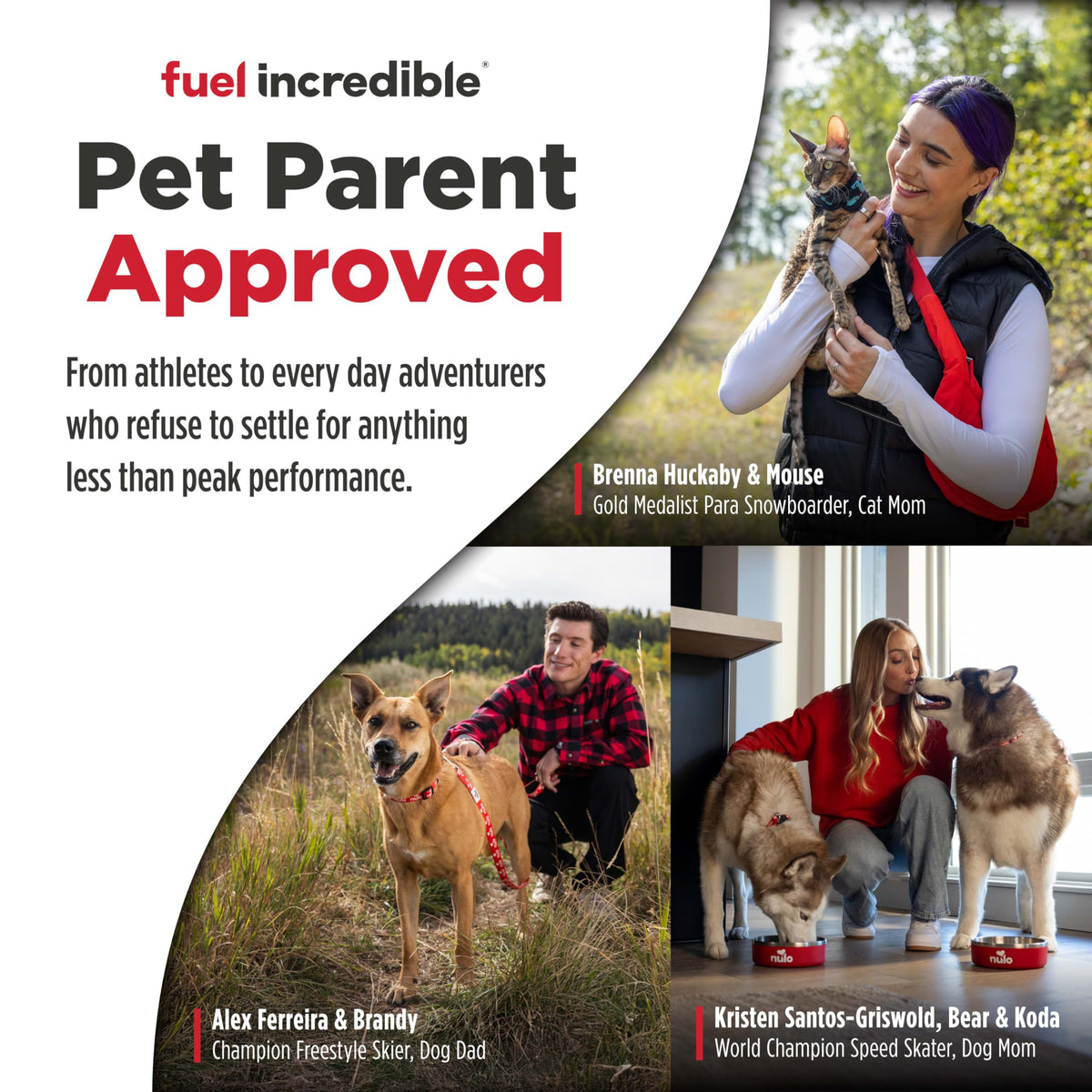 High Protein Grain Free Dry Dog Food L3839
