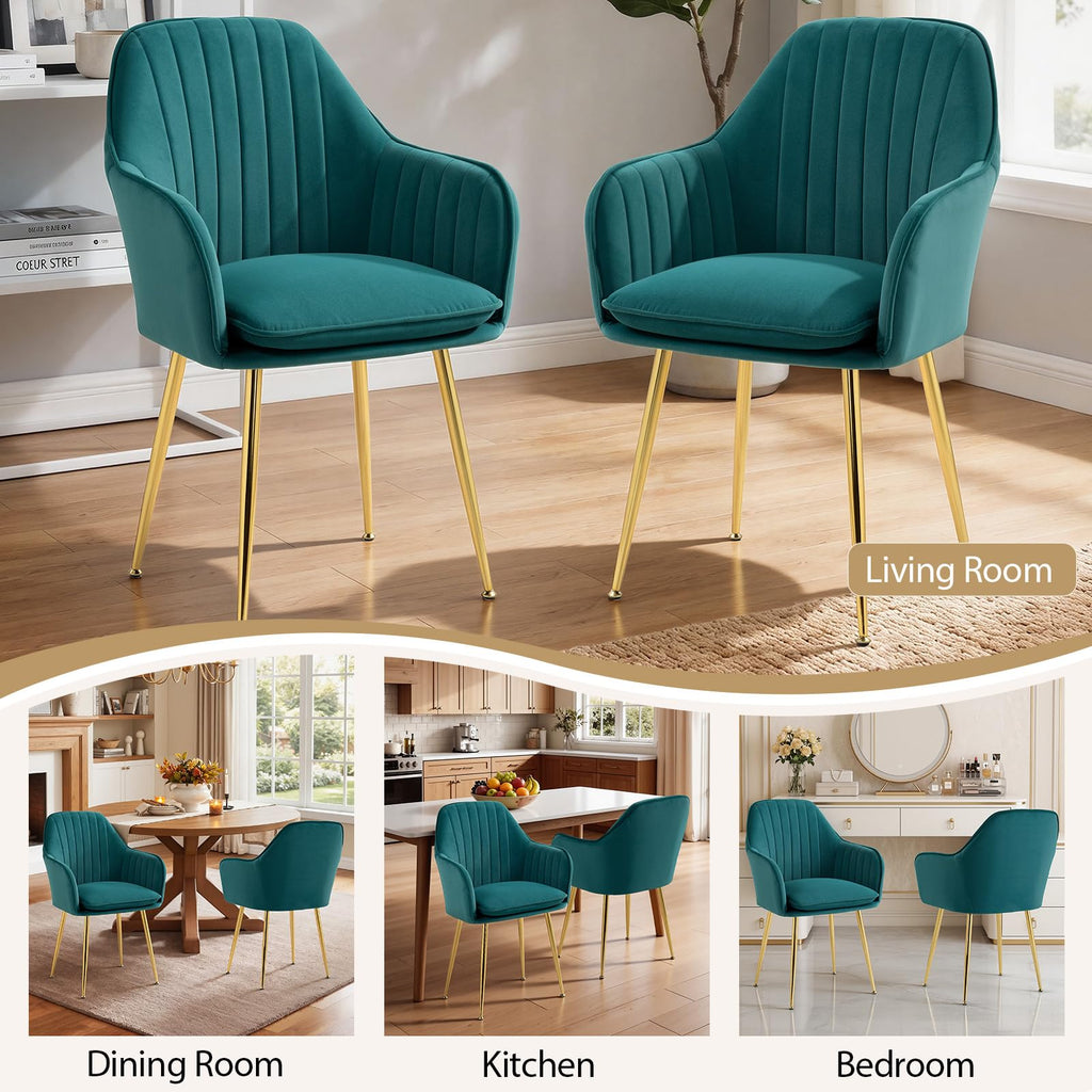 Velvet Accent Arm Chairs Set of 2 with Golden Legs I509153