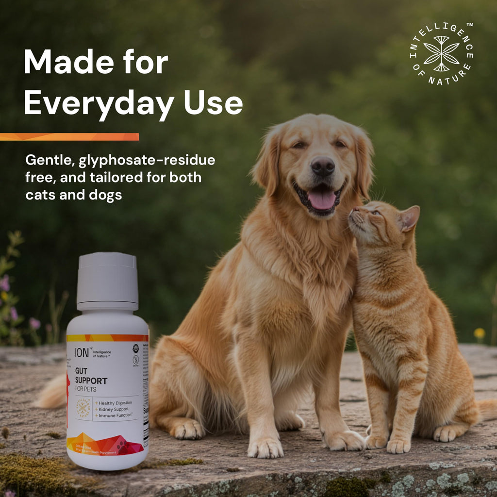 Gut Support for Pets 8 Fl Oz T181