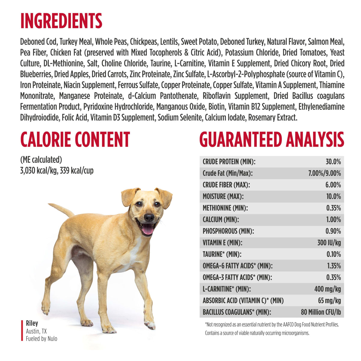 High Protein Grain Free Dry Dog Food L3839