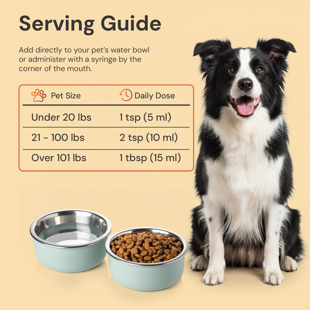 Gut Support for Pets 8 Fl Oz T181