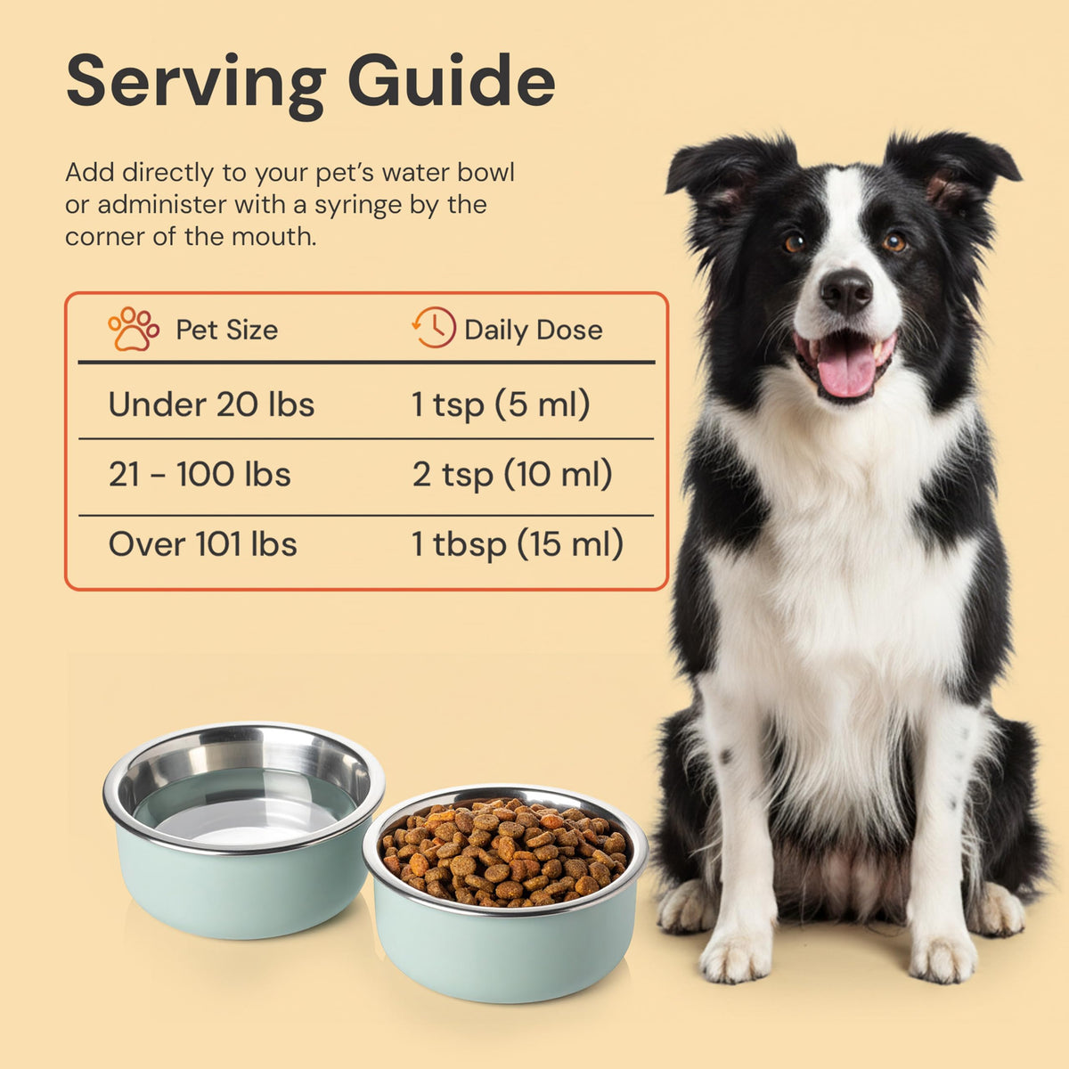 Gut Support for Pets 8 Fl Oz T181