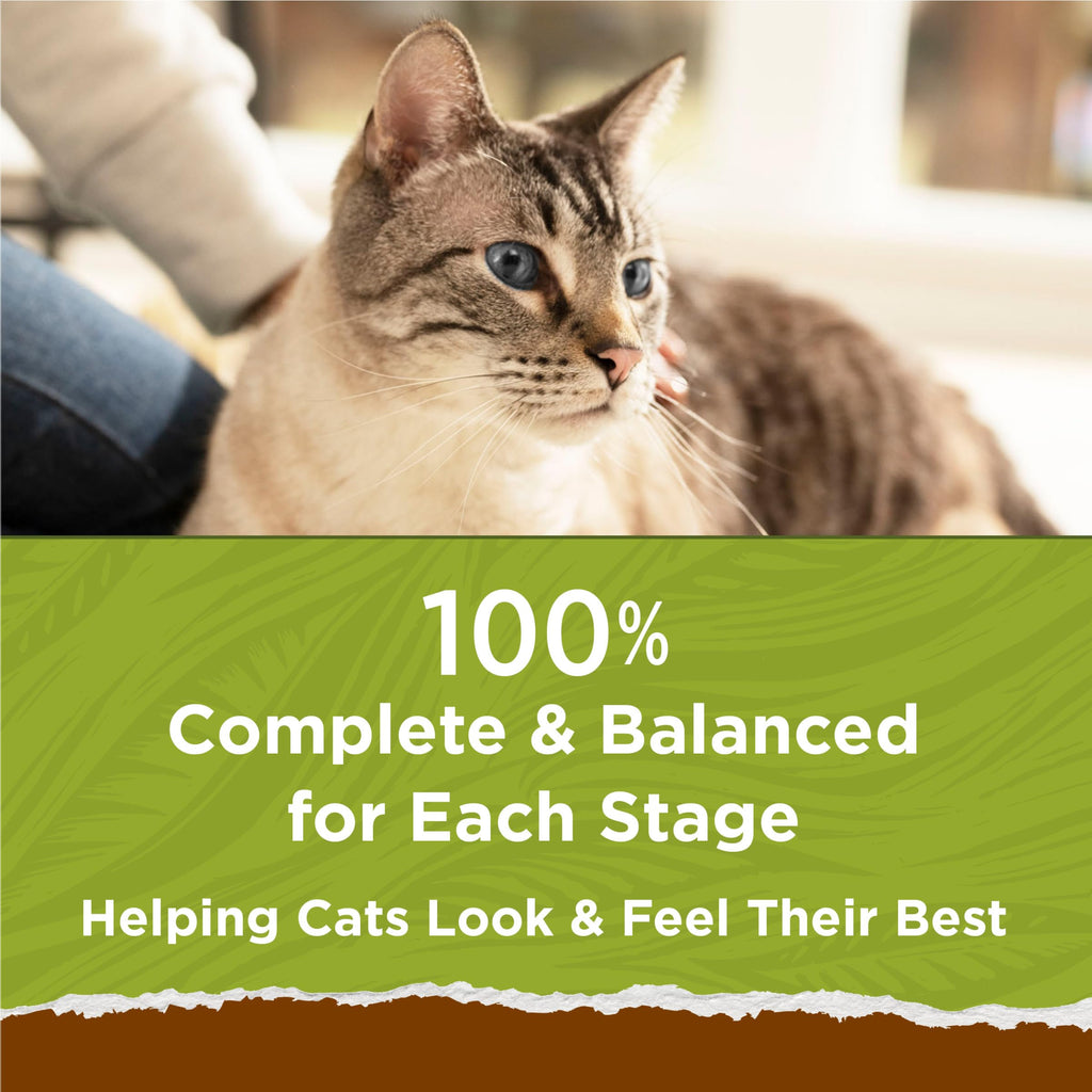 Grain Free Dry Cat Food with Real Chicken 13 lb A18175