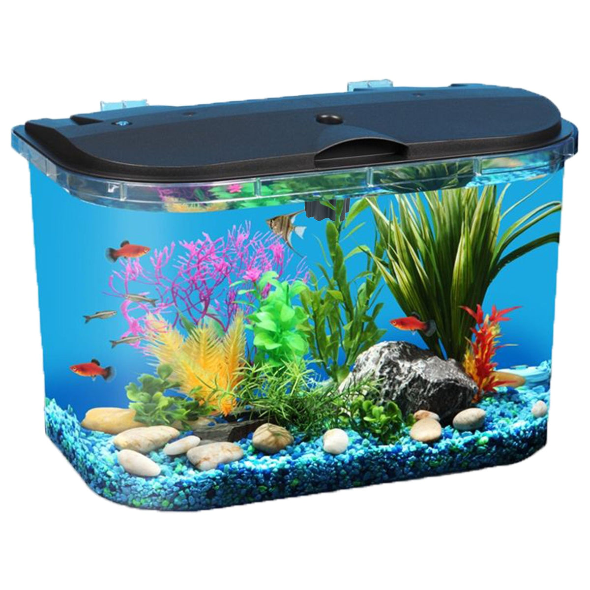 5-Gallon Aquarium Kit with LED Lighting and Power Filter Q190672