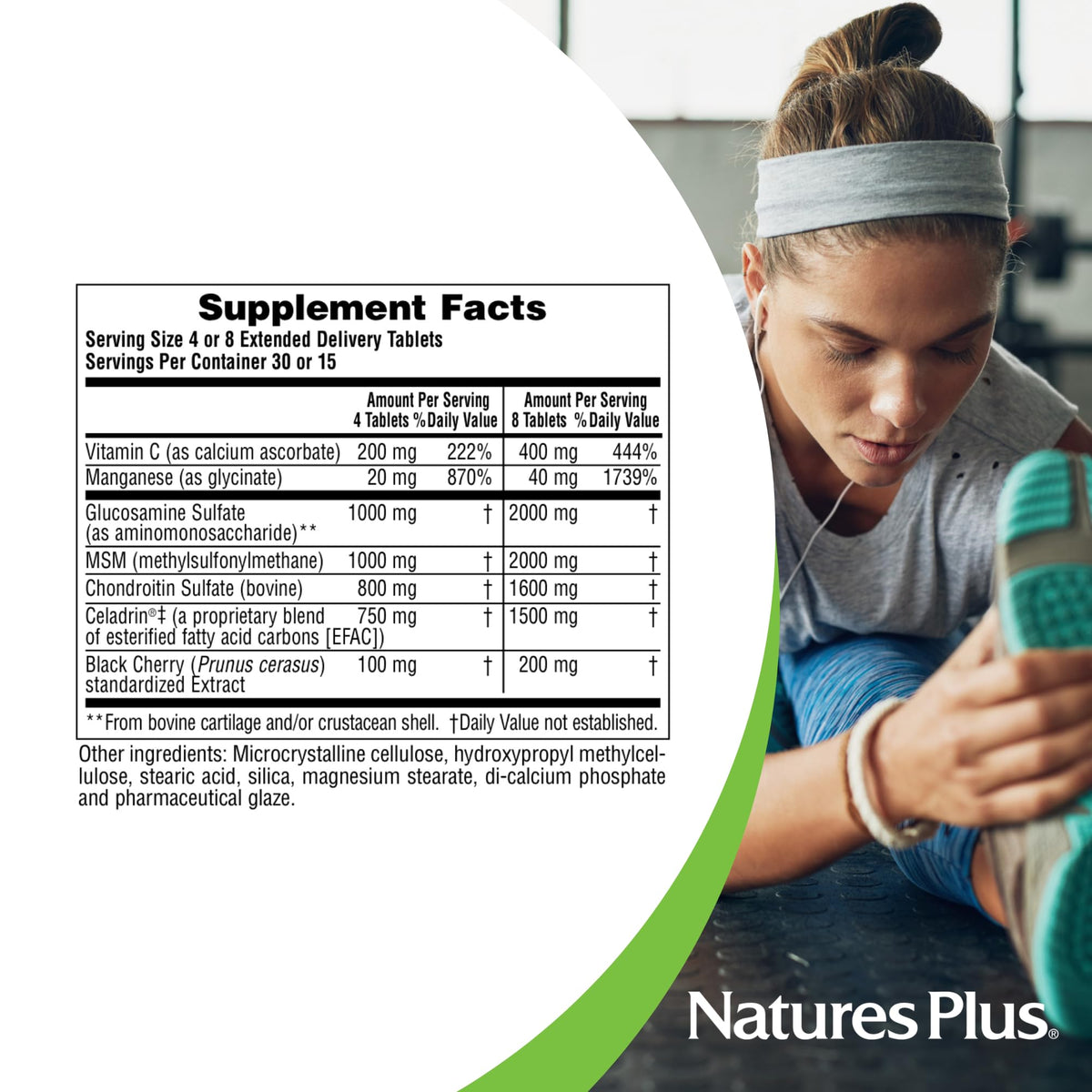 120 Tablets Glucosamine Chondroitin MSM Joint Support G3678