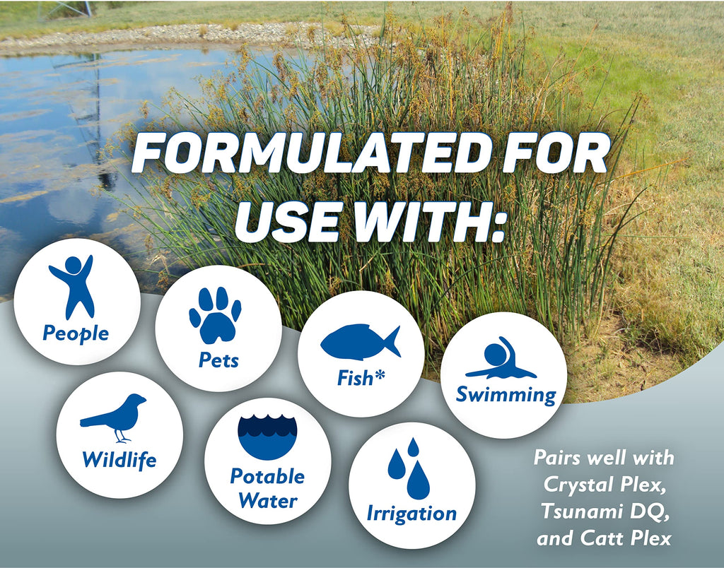 Aquatic Surfactant Quart Z473